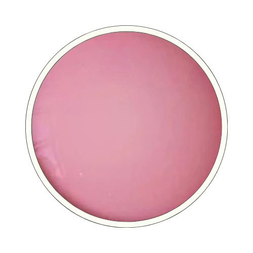 Color swatch image