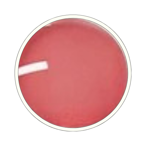 Color swatch image